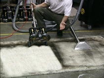 Rotovac carpeting cleaning demonstration